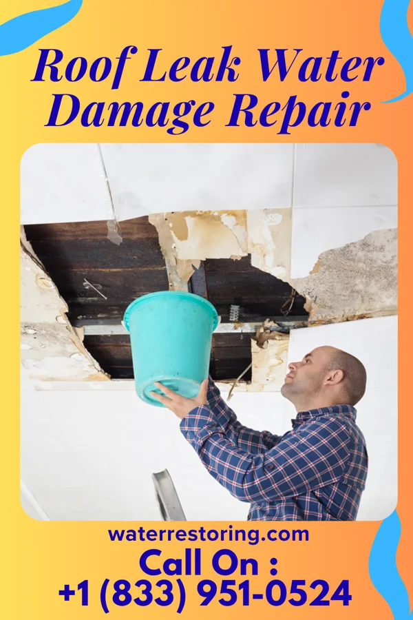 Roof Leak Water Damage Repair in Bowman, ND